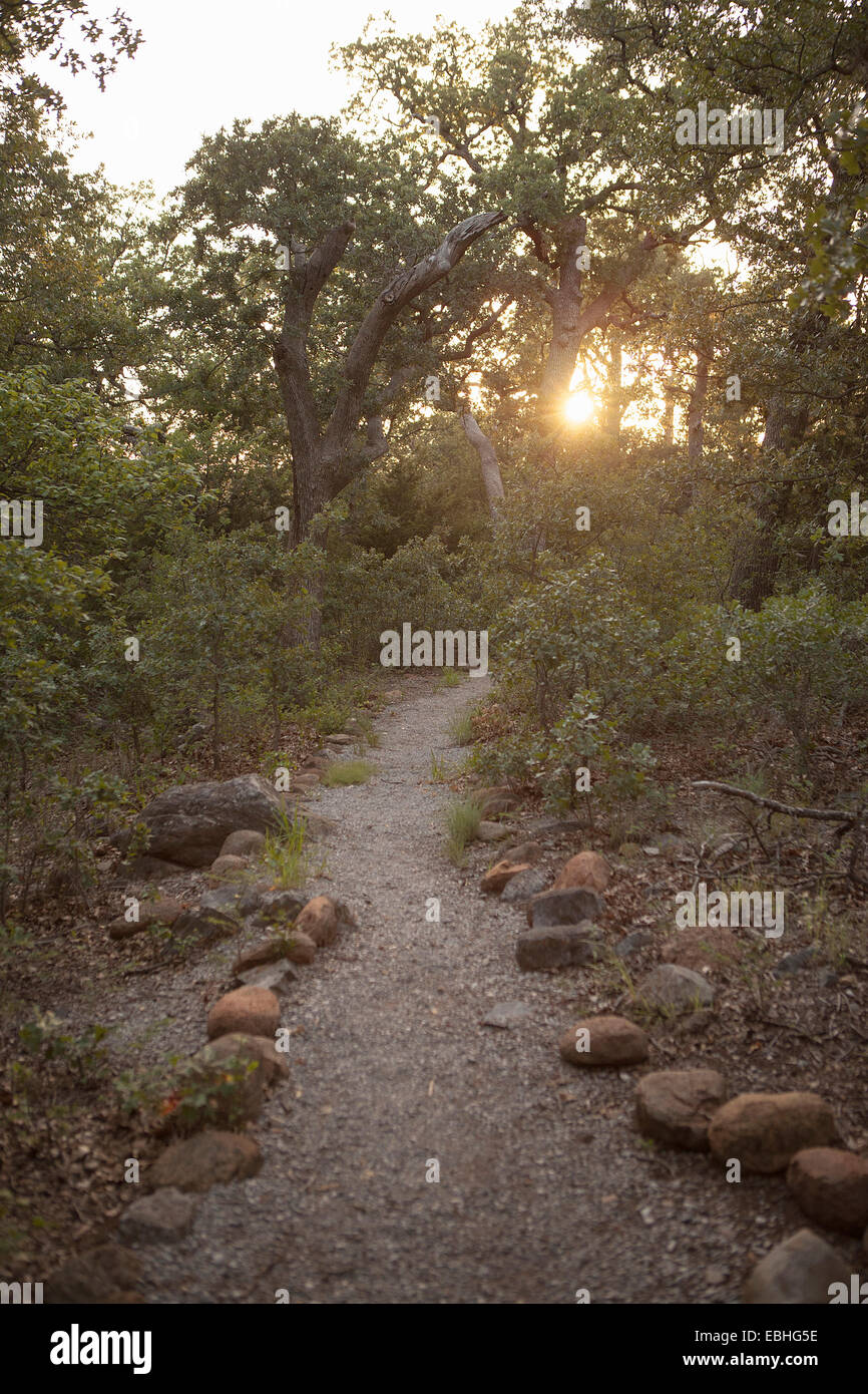 Path in forest at sunset, Wichita Mountains National Wildlife Refuge
