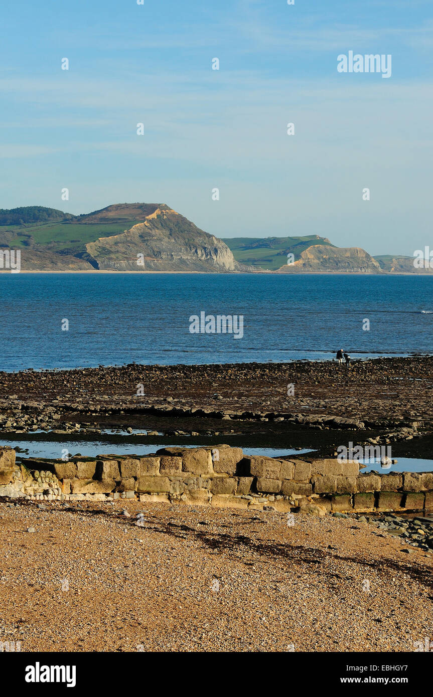 Low tide at Broad Ledge, Lyme Regis. Golden Cap in the distance Stock Photo