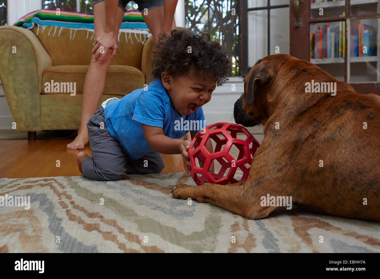 Male toddler playing with dog on sitting room floor Stock Photo