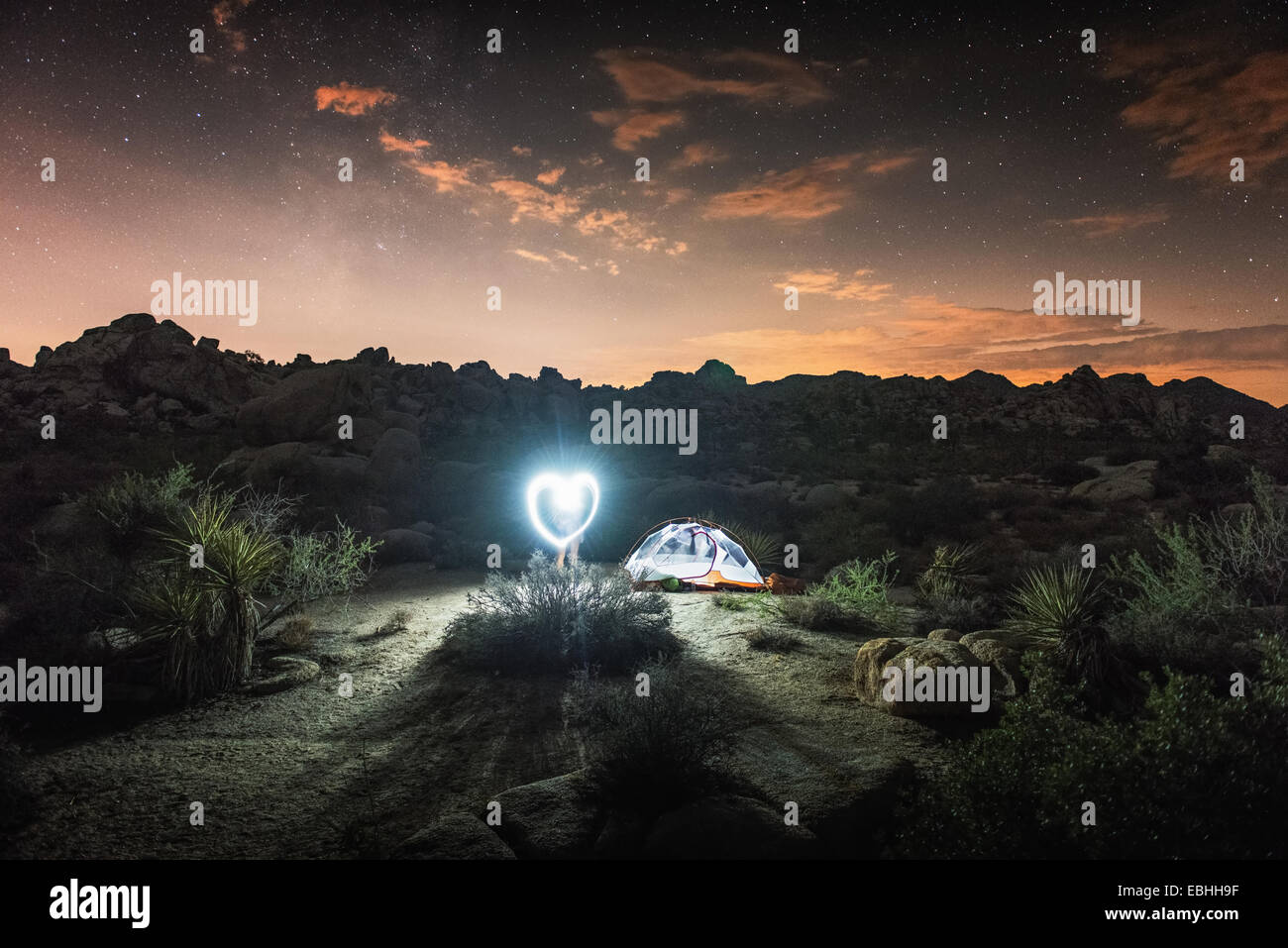 Illuminated tent by night, Joshua Tree National Park, California, US
