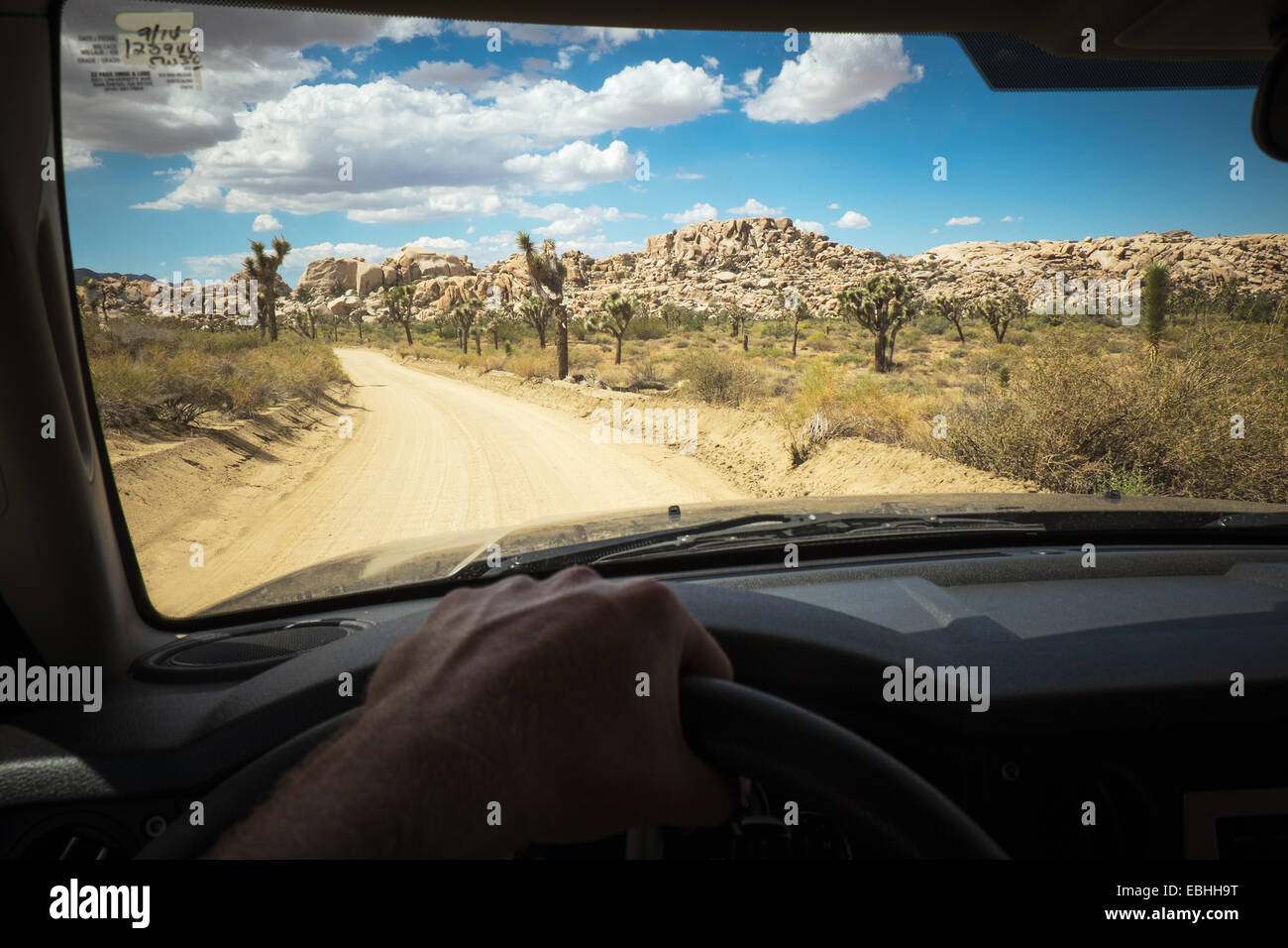 Driver's hand on wheel of car, Joshua Tree National Park, California