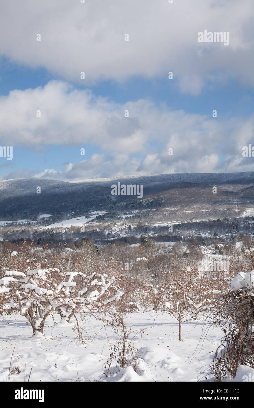 Apple orchard blue sky clouds morning hi-res stock photography and ...