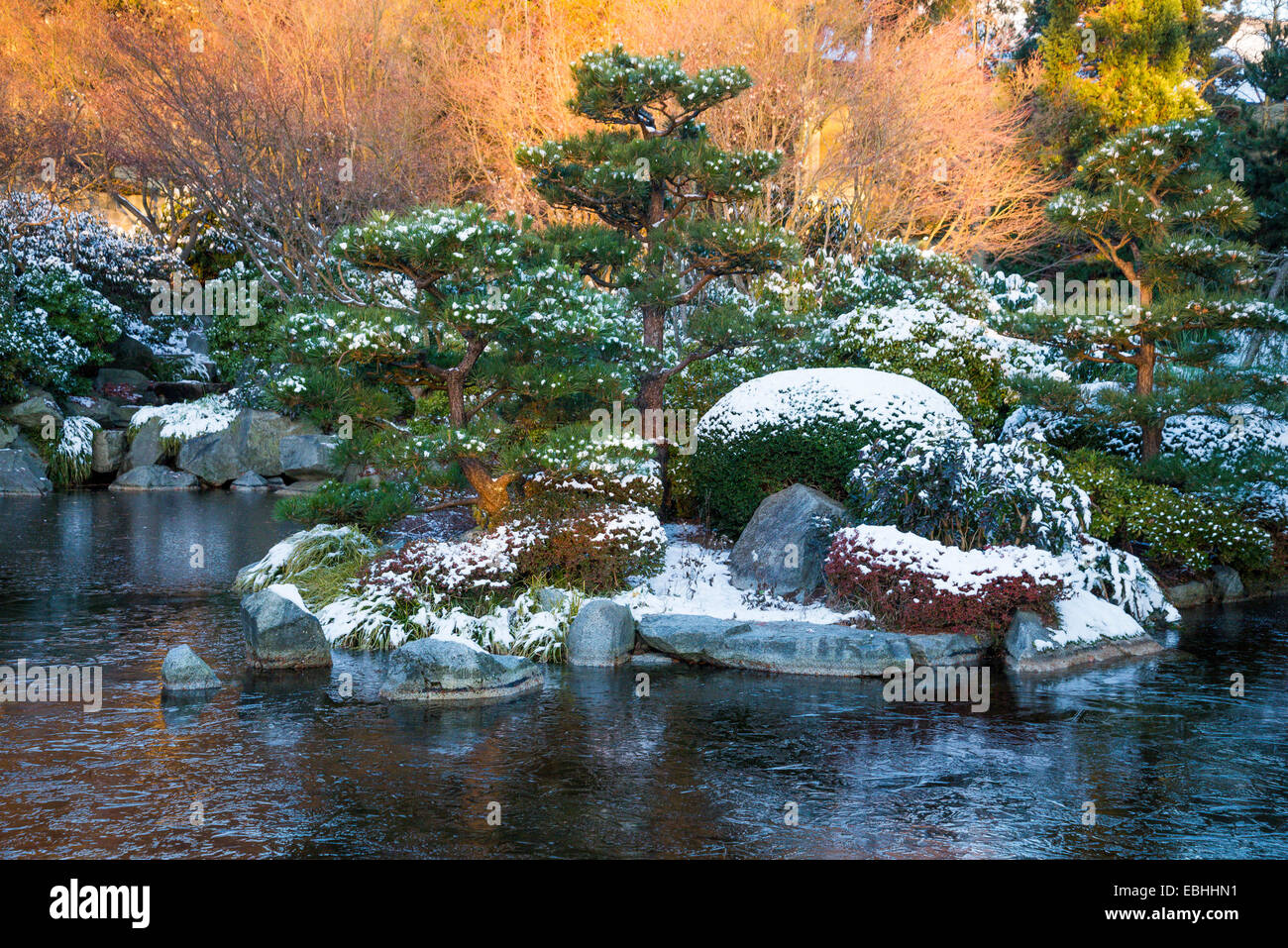 Momiji garden vancouver hi-res stock photography and images