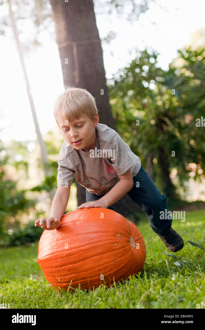 Boy rolling pumpkin Stock Photo