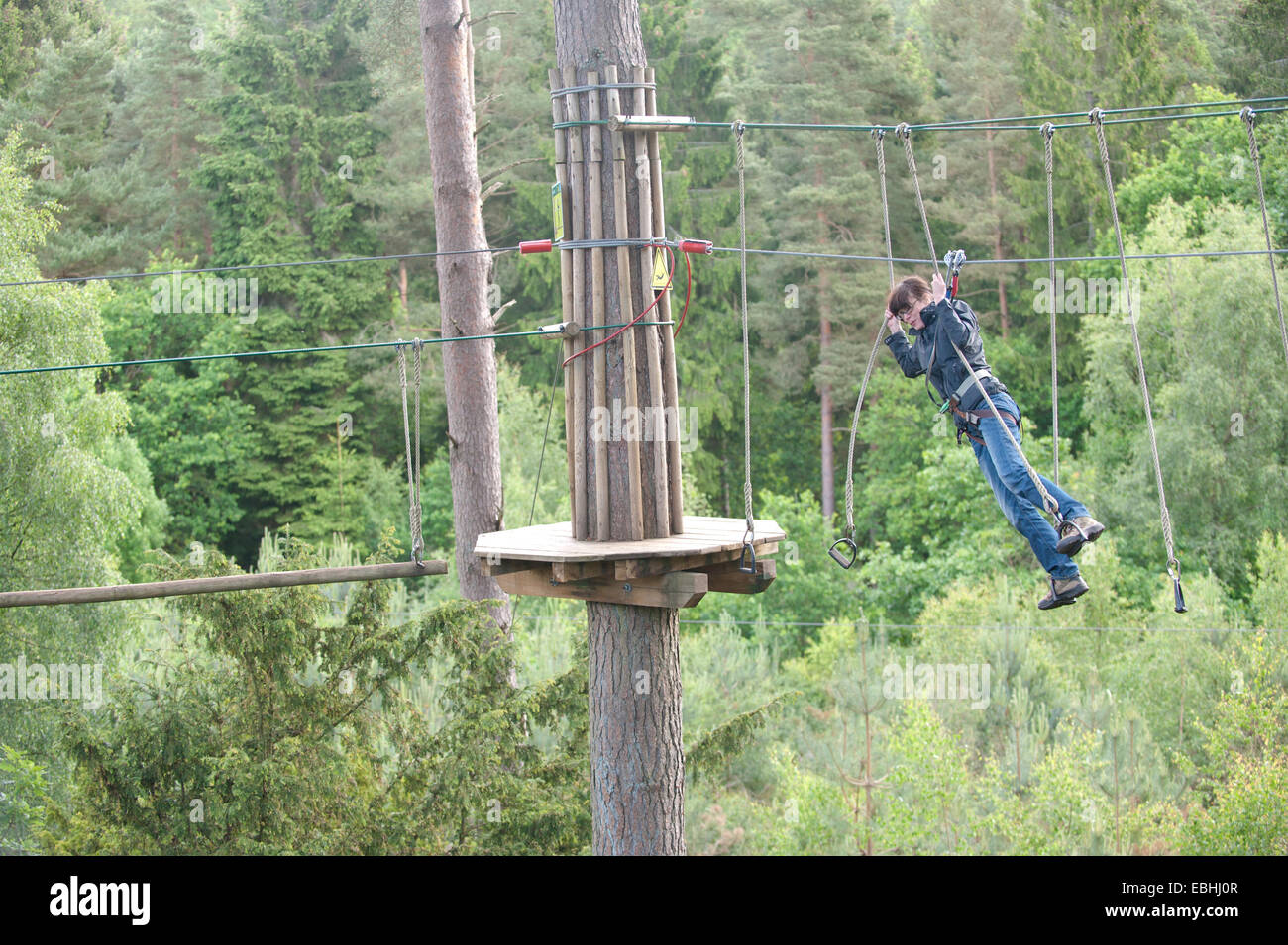 High ropes course in Wales Stock Photo - Alamy