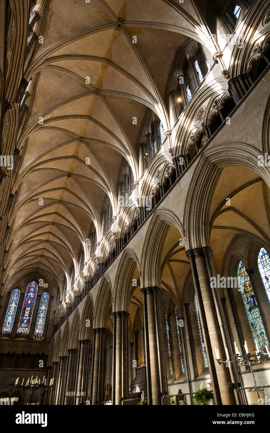 Nave And The Vaulted Ceiling Above The Nave In Salisbury