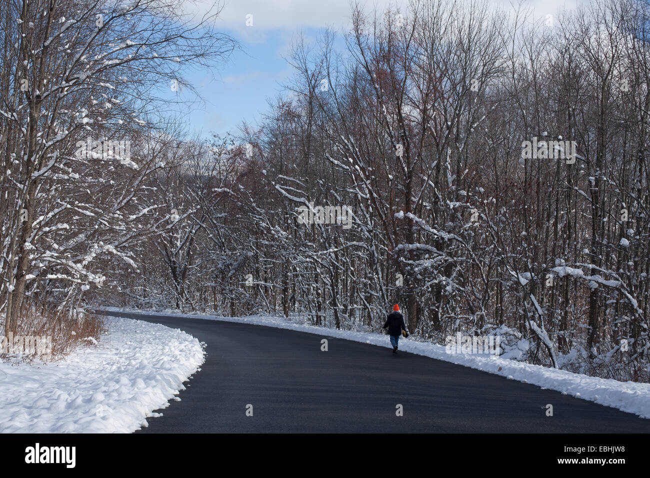 A lone woman is dwarfed by the winter forest and  road in the Massachusetts Berkshires. Stock Photo