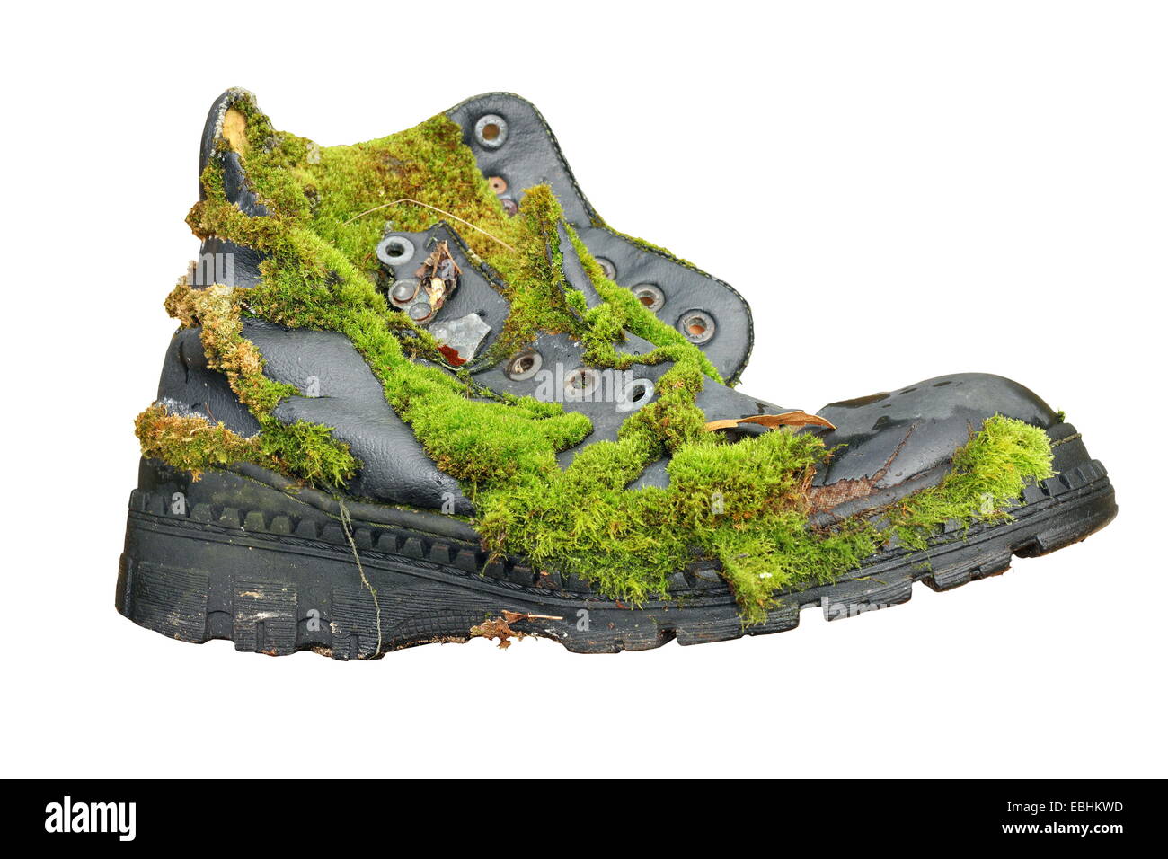 old abandoned shoe overgrown with moss, isolation over white background Stock Photo