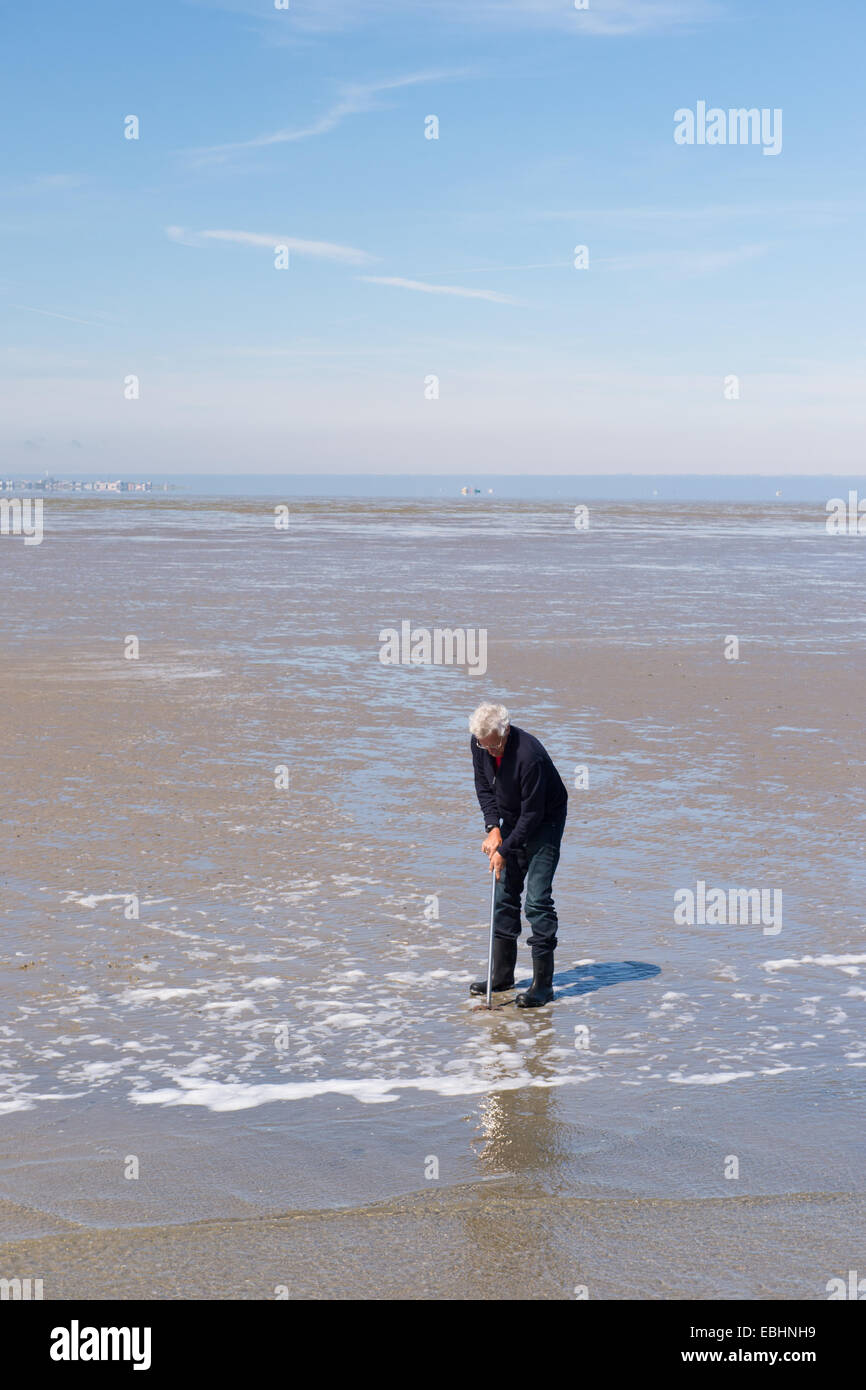 Man in Dutch wadden sea fishing on shell fishes Stock Photo - Alamy