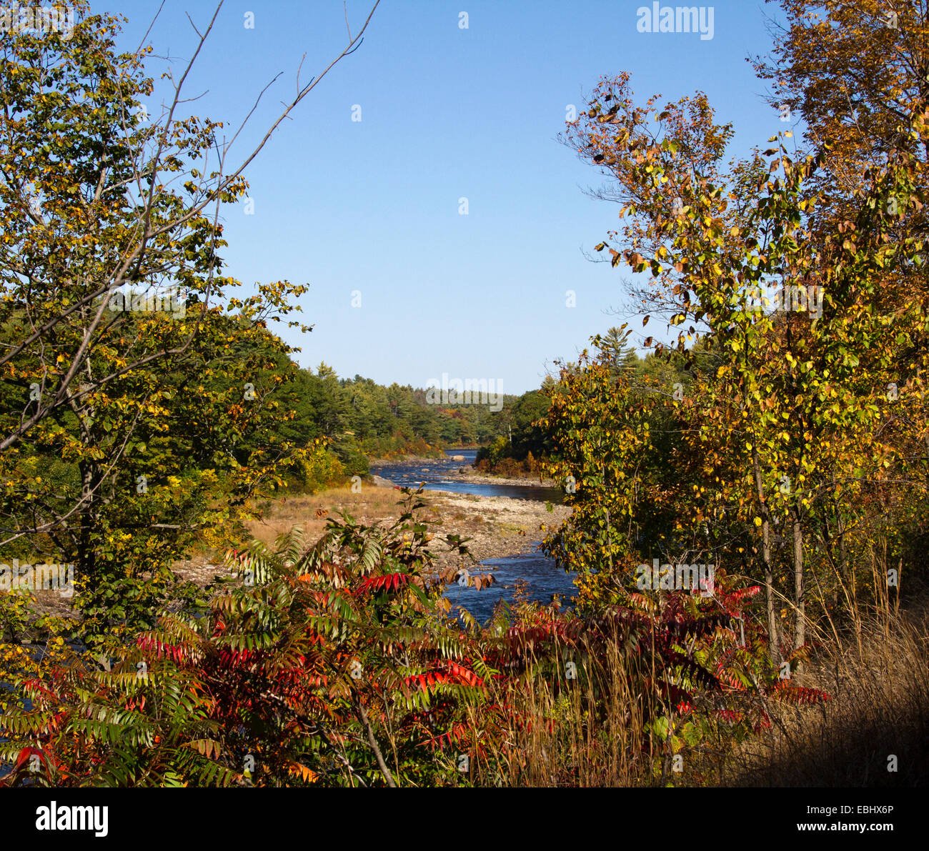 Hudson River with fall autumn foliage New York USA Adirondack State
