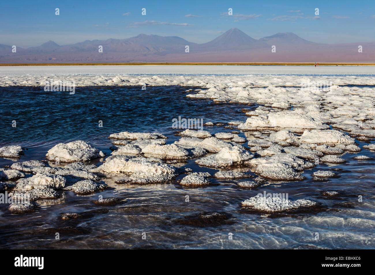 Salt flat at Salar de Atacama in Chile with Licancabur volcano background Stock Photo
