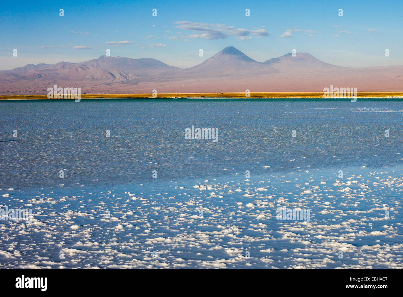 Salt flat at Salar de Atacama in Chile with Licancabur volcano background Stock Photo