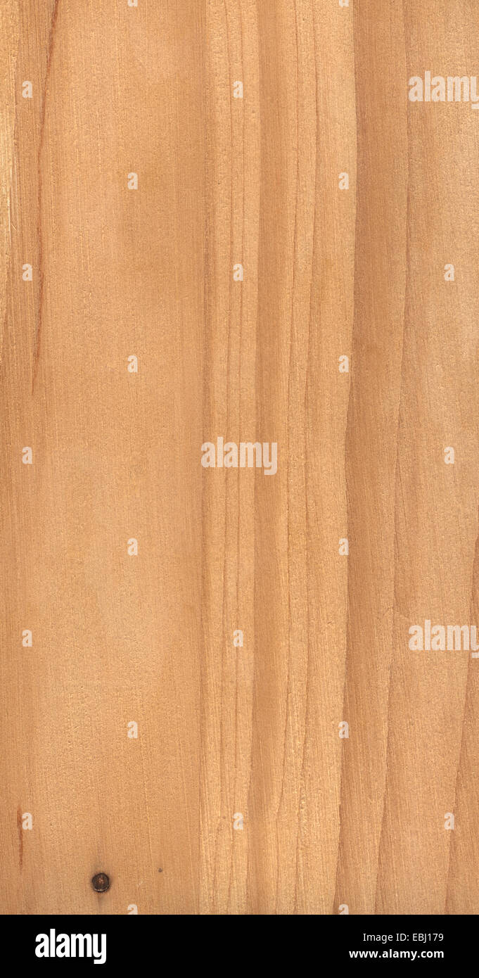 Maple Wood Texture Stock Photo - Alamy