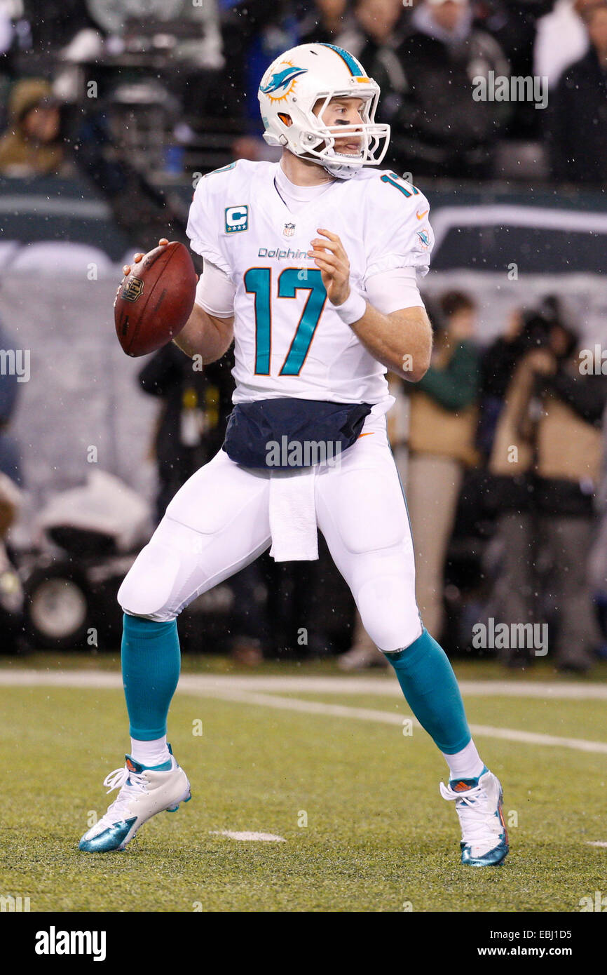 East Rutherford, New Jersey, USA. 1st Dec, 2014. Miami Dolphins quarterback Ryan  Tannehill (17) in action during the NFL game between the Miami Dolphins and  the New York Jets at MetLife Stadium