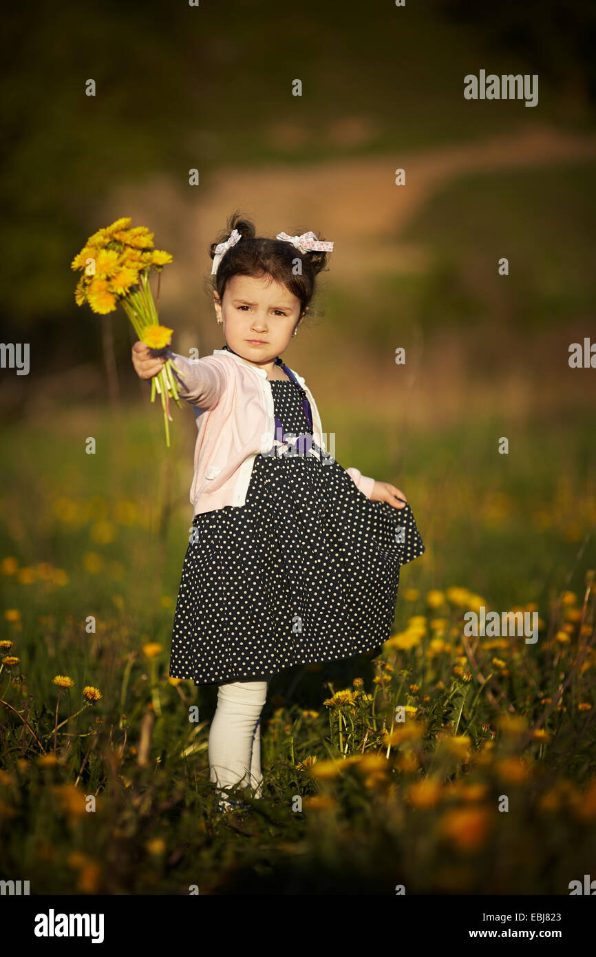 cute little girl with dandelions Stock Photo - Alamy
