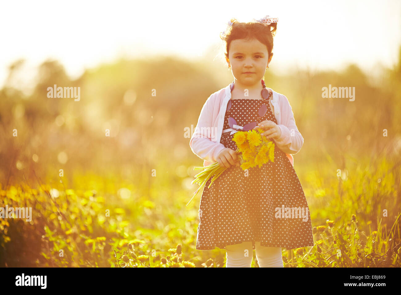 cute little girl with dandelions Stock Photo - Alamy