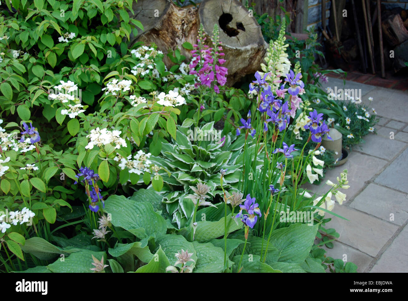 Cottage Garden Border High Resolution Stock Photography and Images - Alamy