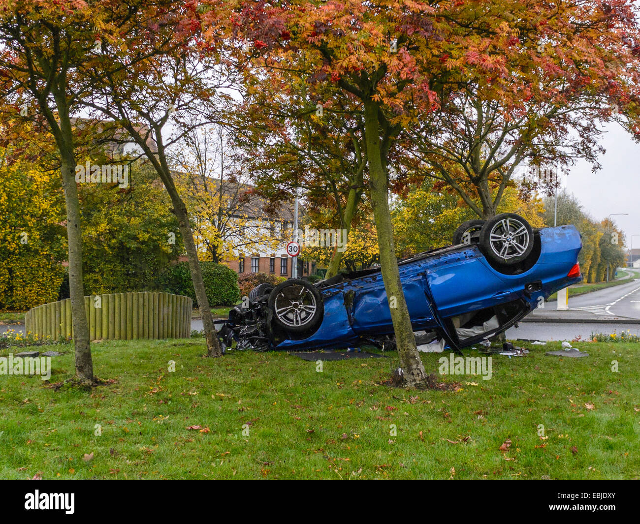 Unusual Motor vehicle accident, depicting blue sports saloon vehicle on its roof, amongst trees on a roundabout traffic island Stock Photo