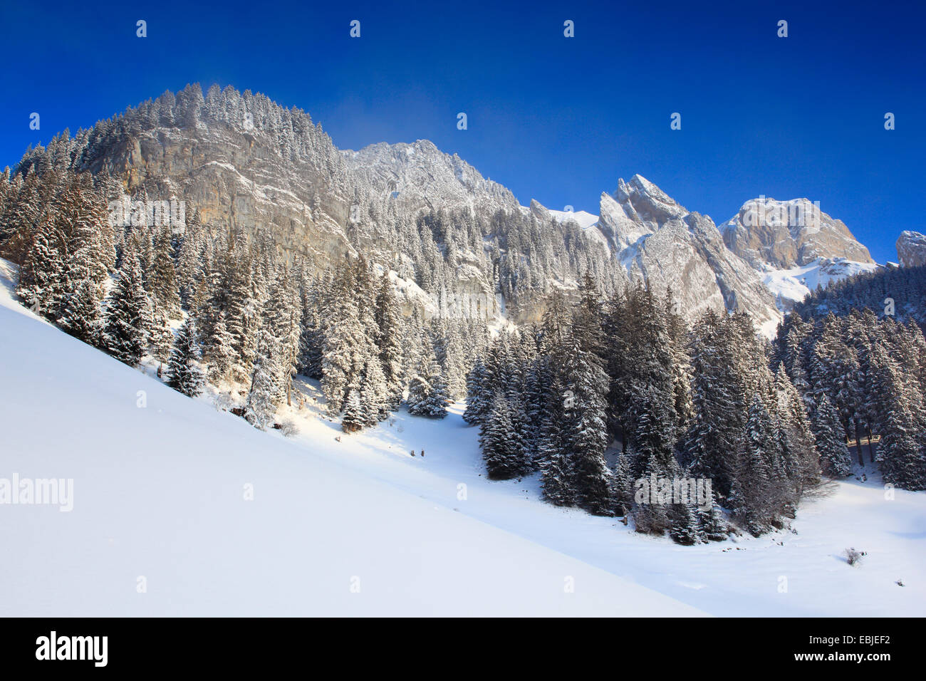 Alpstein in winter, Switzerland Stock Photo
