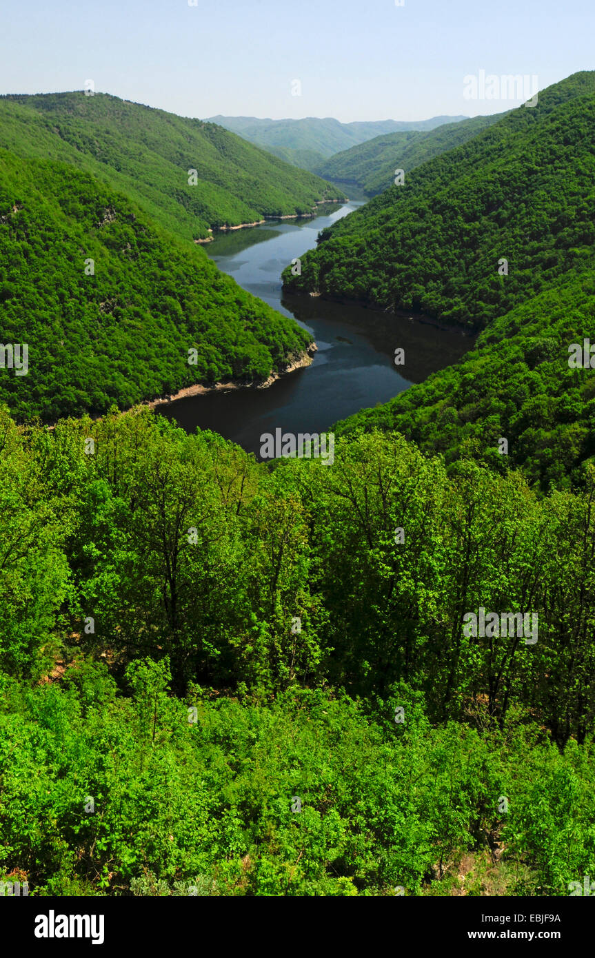 course of river Nestos among densely forested slopes, Greece, Rhodope Mountains Stock Photo