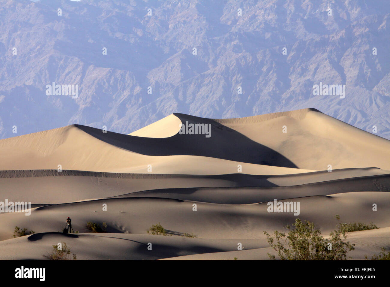 nature photographer in sand dunes in front of monumentally looming rock wall, USA, California, Death-Valley-Nationalpark, Stovepipe Wells Stock Photo