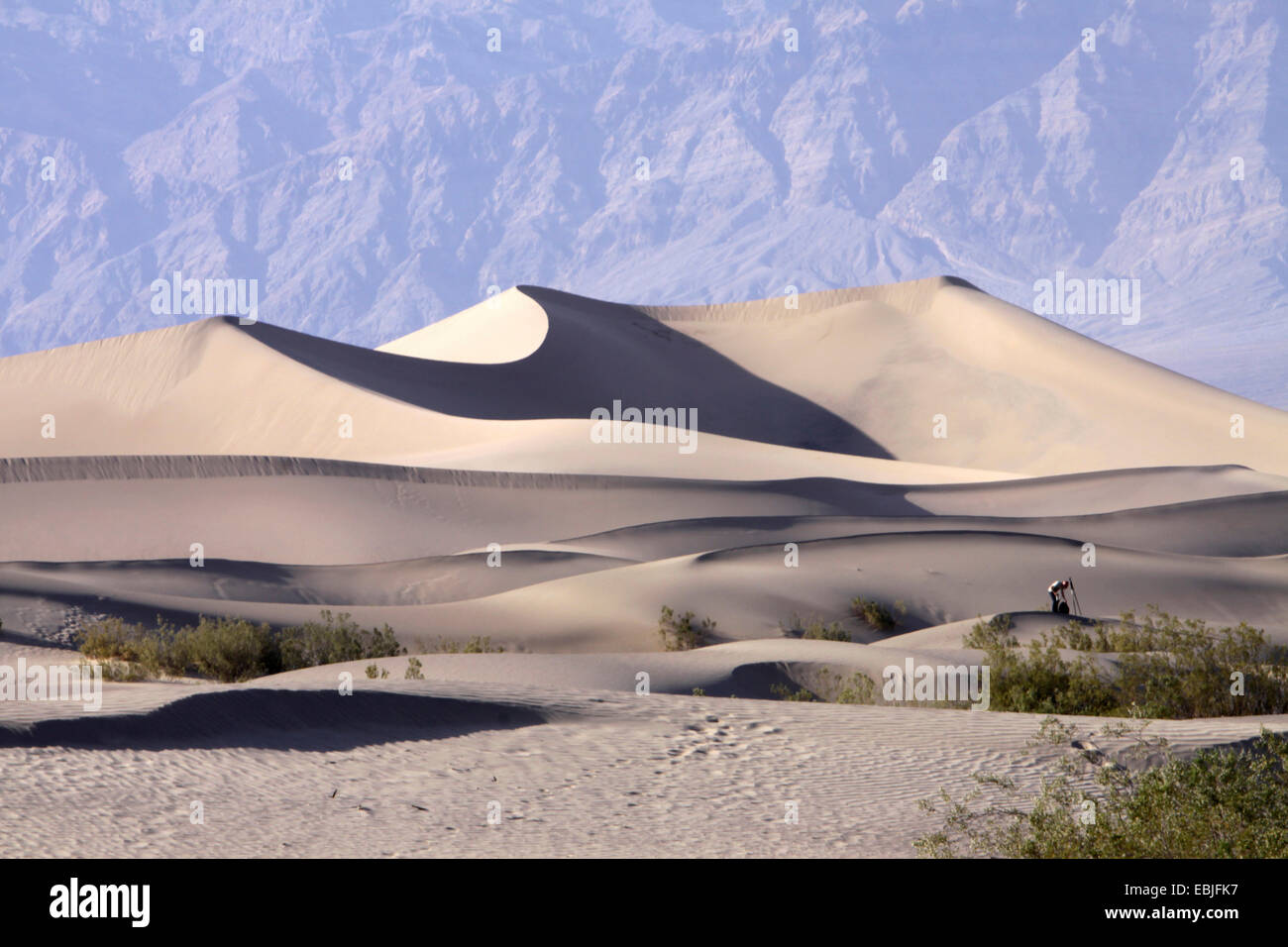 nature photographer in sand dunes in front of monumentally looming rock wall, USA, California, Death-Valley-Nationalpark, Stovepipe Wells Stock Photo