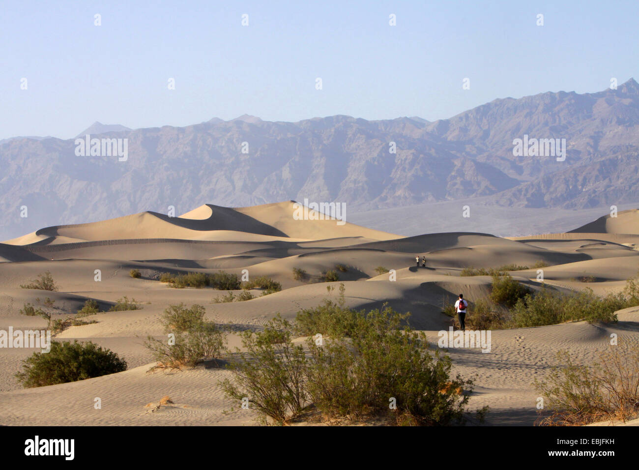 wanderers in the sand dunes in front of looming rock wall, USA, California, Death-Valley-Nationalpark, Stovepipe Wells Stock Photo