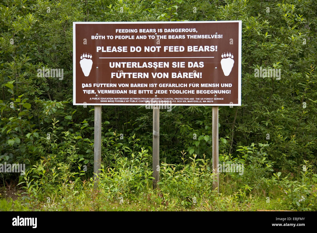 American black bear (Ursus americanus), sign warning against the danger of feeding bears with German translation full of mistakes, USA, Alaska, Tongass National Forest, Hyder Stock Photo