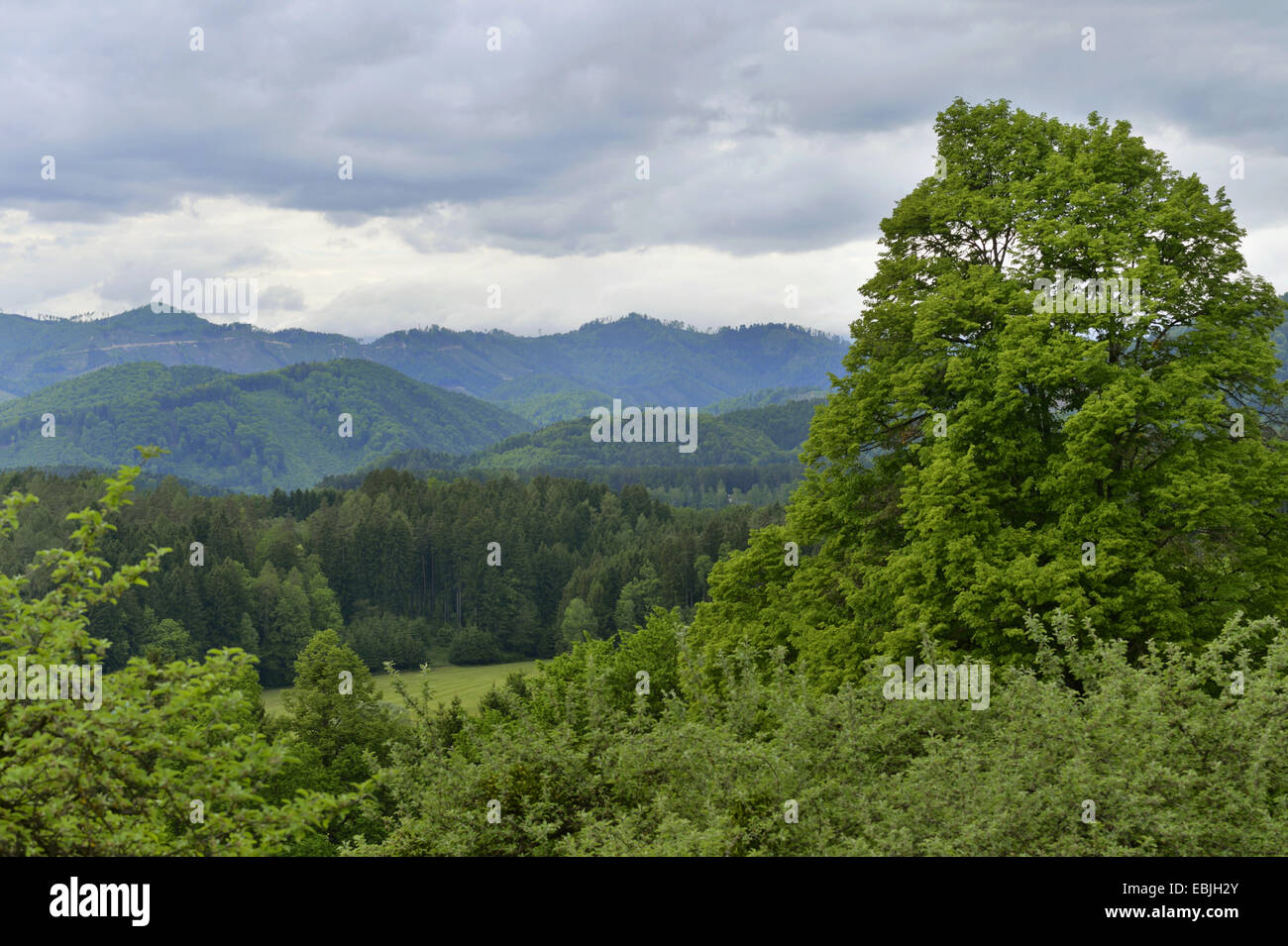 landscape in Styria, Austria, Styria Stock Photo