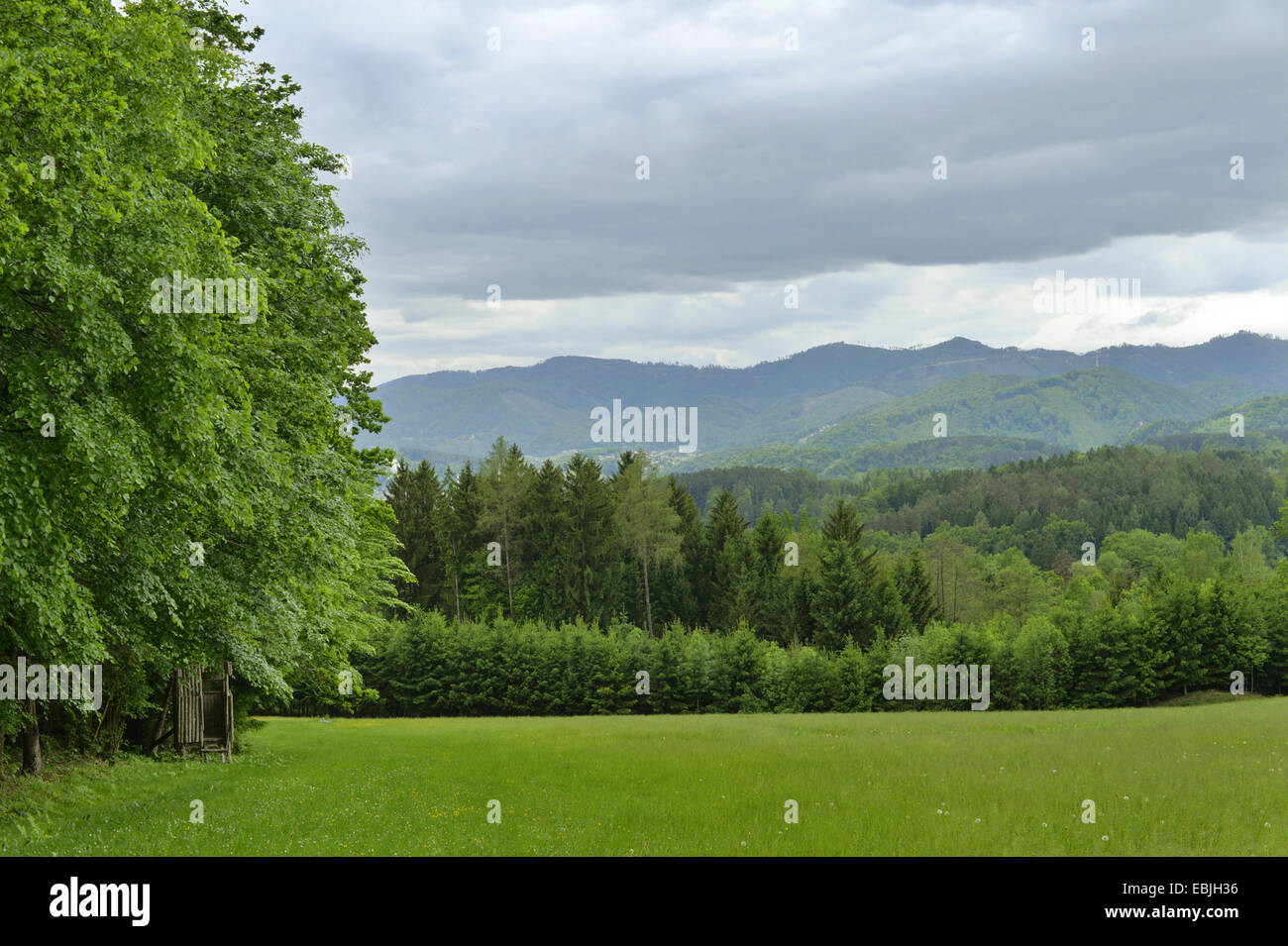 landscape in Styria with thunderstorm clouds, Austria, Styria Stock Photo