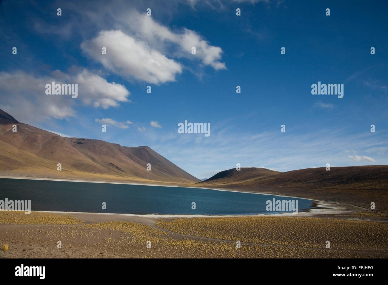 laguna-miniques-in-chile-chile-stock-photo-alamy