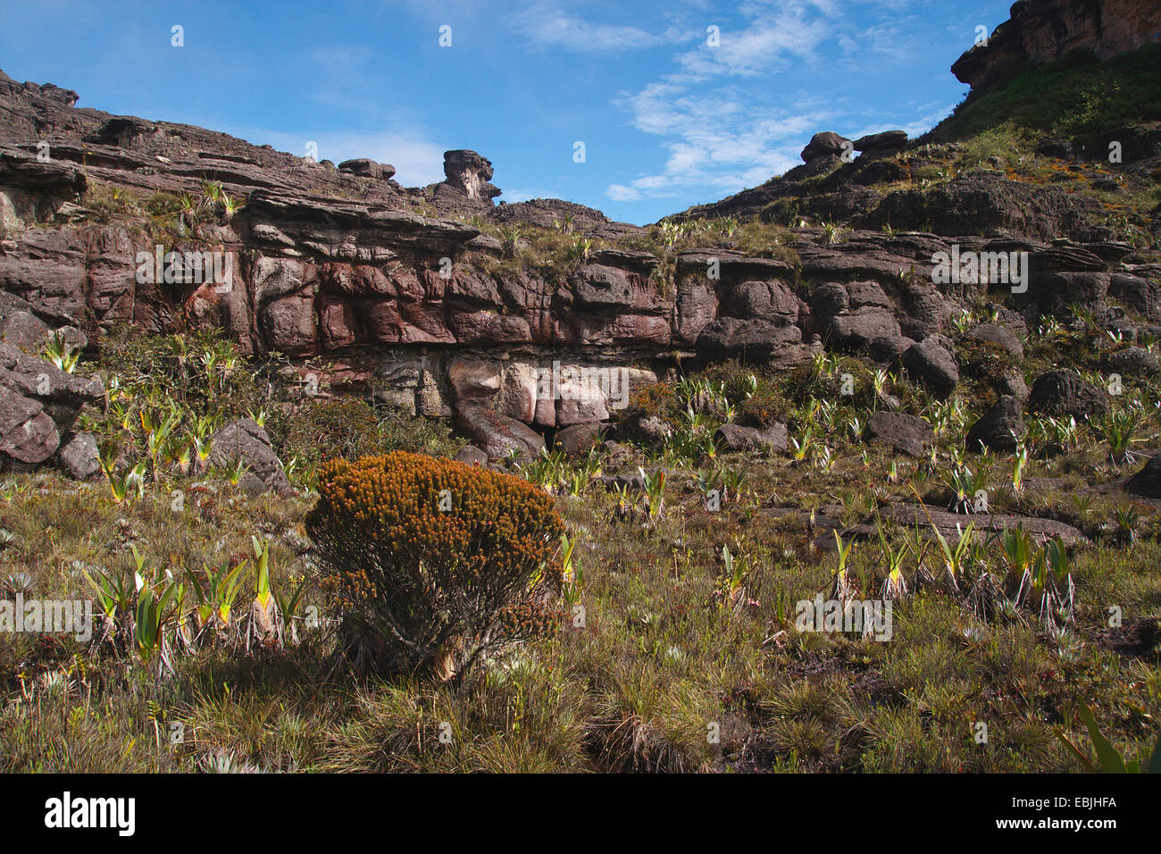 vast rock landscape at the Roraima Tepui, Venezuela, Canaima National Park, Roraima Tepui Stock Photo
