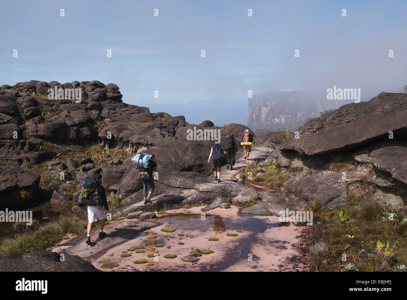 hikers in the vast rock landscape of the Roraima Tepui with the Kukenam Tepui in the background, Venezuela, Canaima National Park, Roraima Tepui Stock Photo