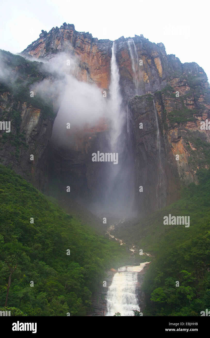 Angel Falls at the table mountain Auyan Tepui, the world's highest