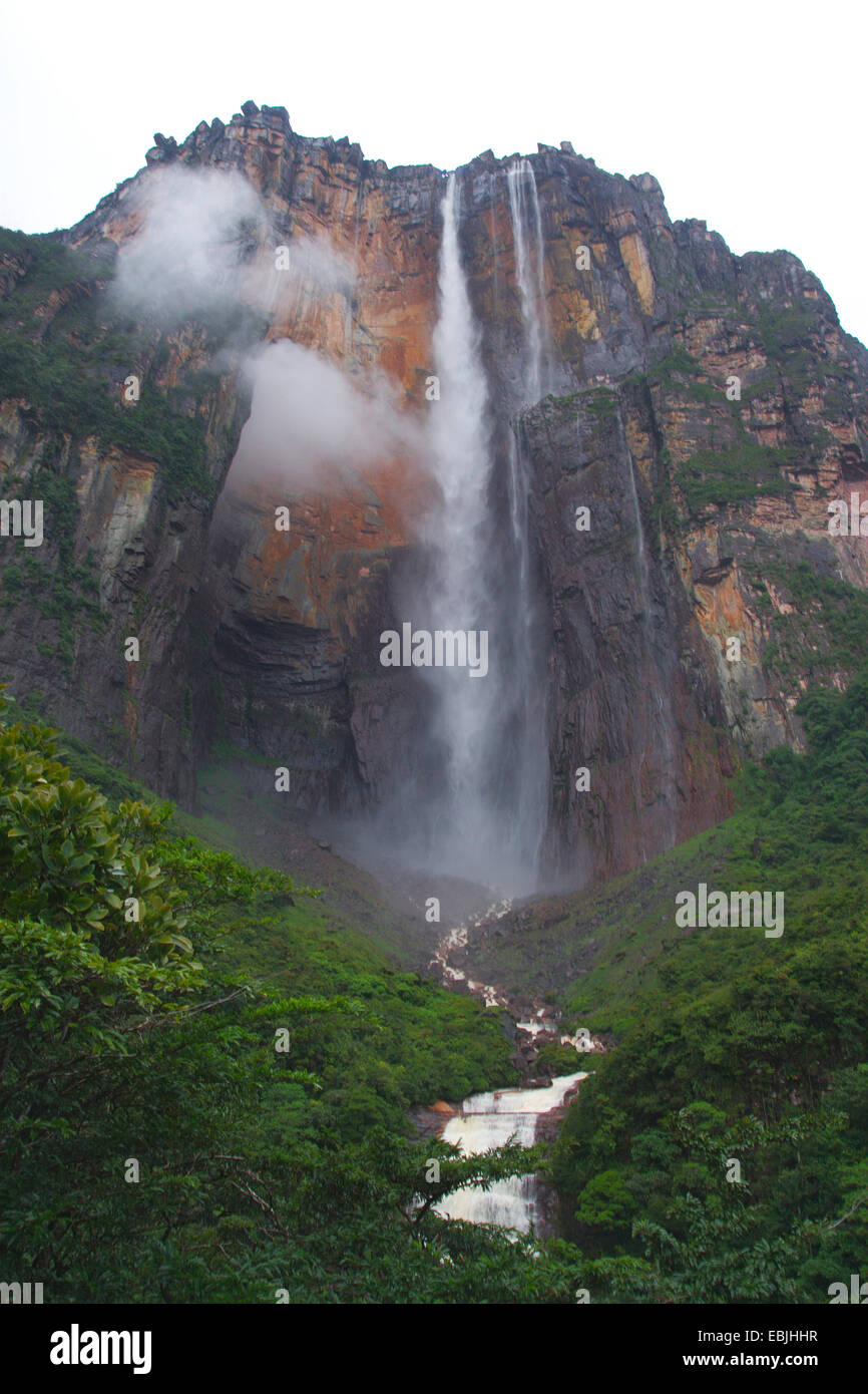 Angel Falls at the table mountain Auyan Tepui, the world's highest