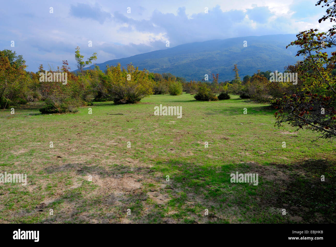 Ossa mountain, view from Pinos Delta, Greece, Macedonia, Natura 2000 Stock Photo