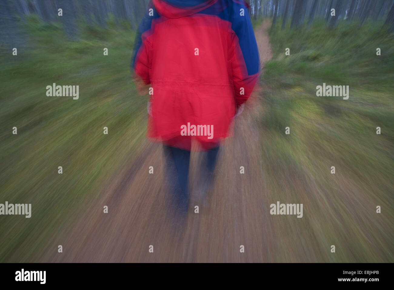 Woman scottish forest hi-res stock photography and images - Alamy