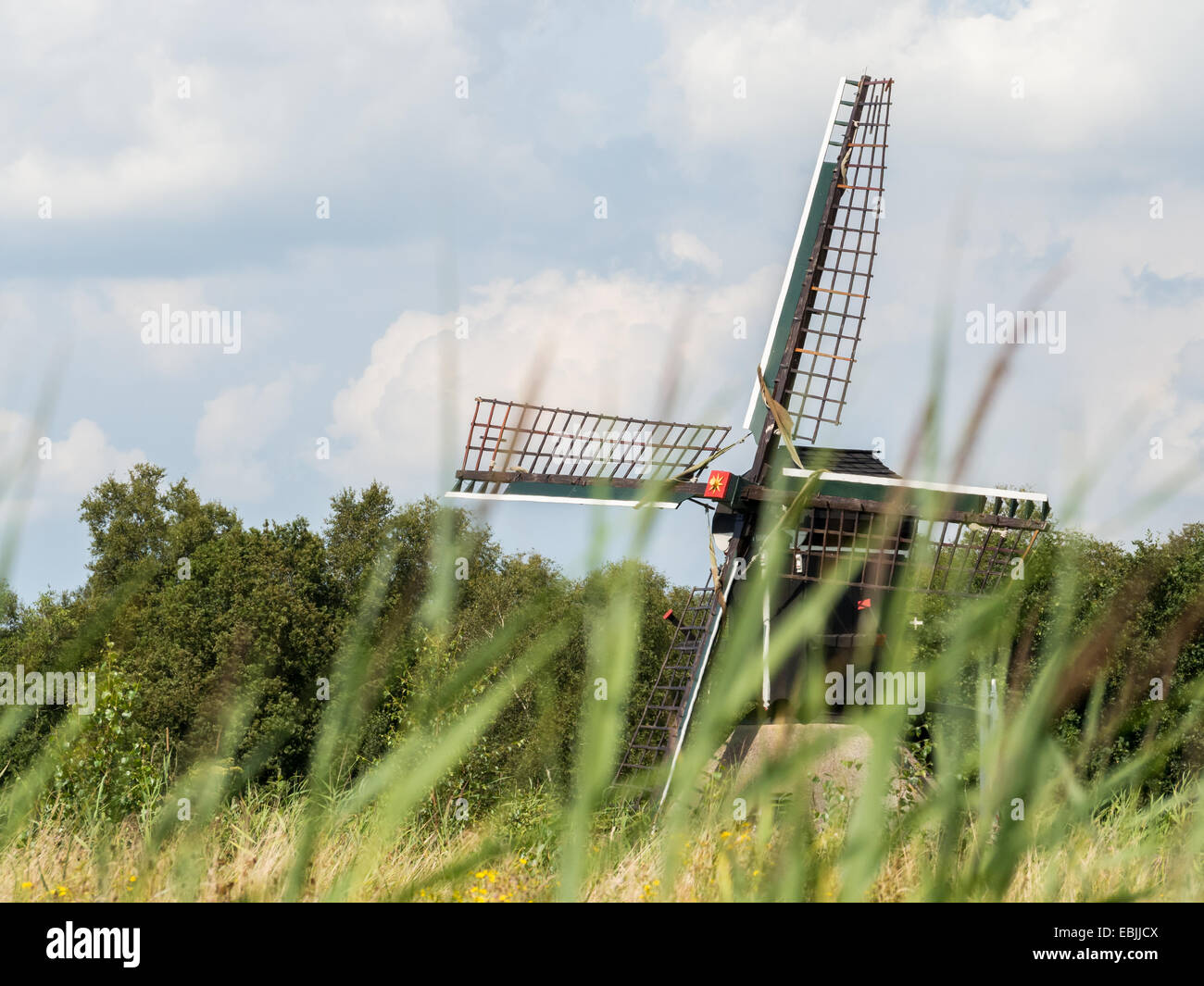 Dutch windmill pops out behind long strands of grass in Weerribben, Netherlands Stock Photo