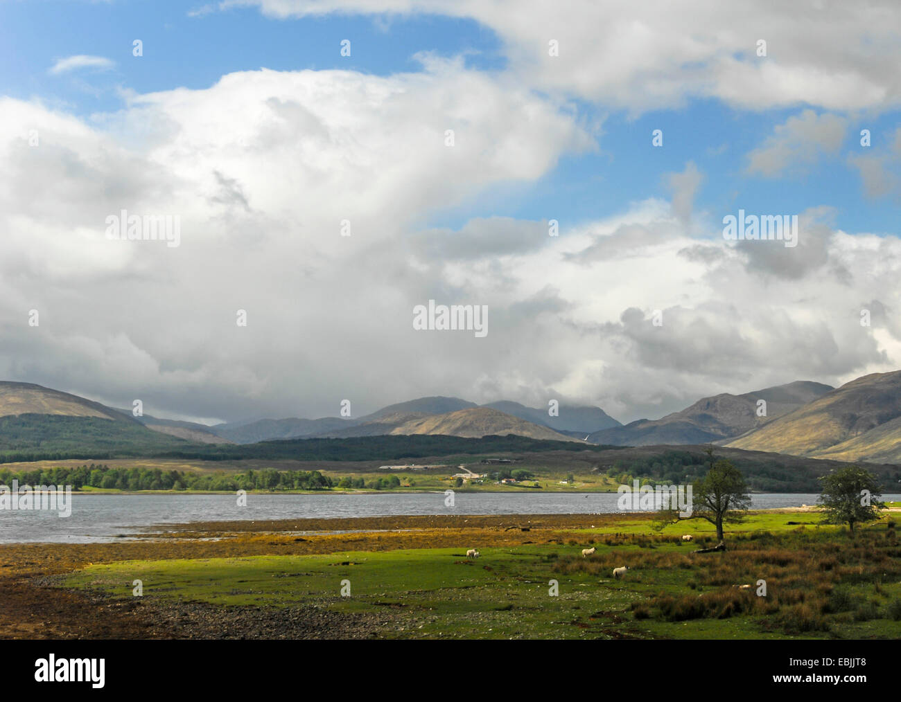 Scottish loch and mountains, United Kingdom, Scotland, Argyll Stock Photo