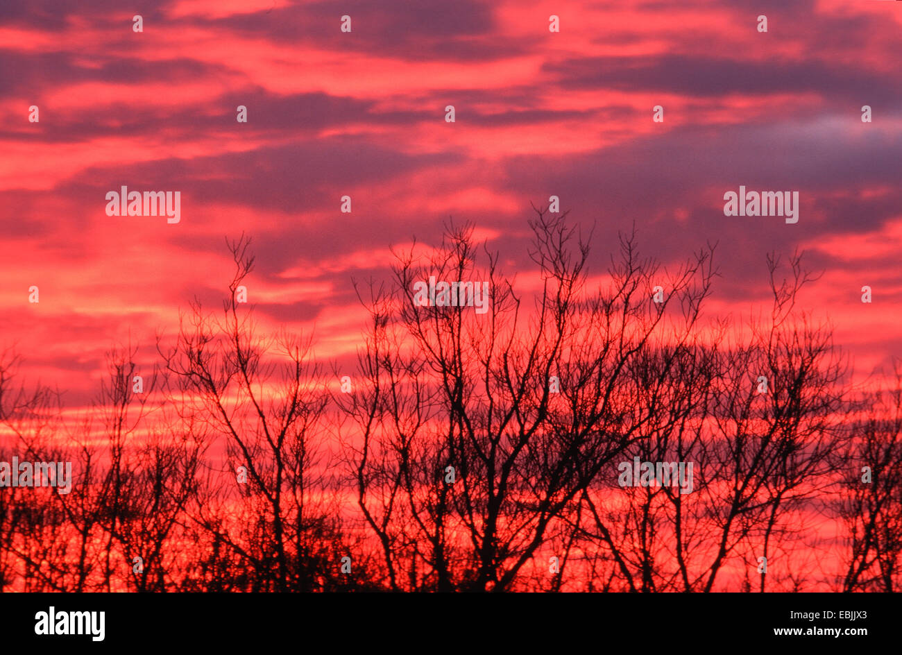 afterglow, Germany, Hesse Stock Photo