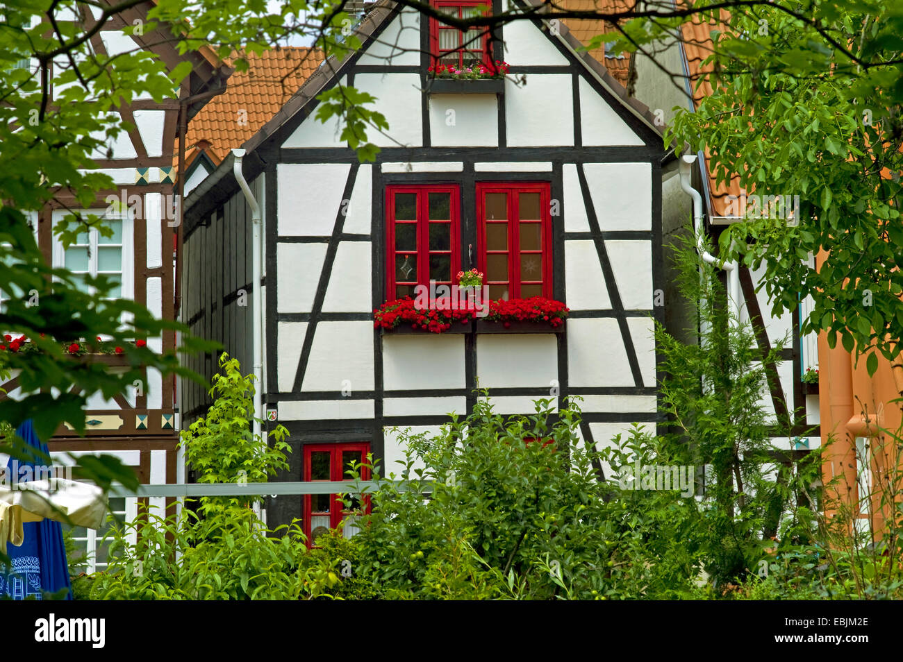 historical timberframed houses, Germany, North RhineWestphalia