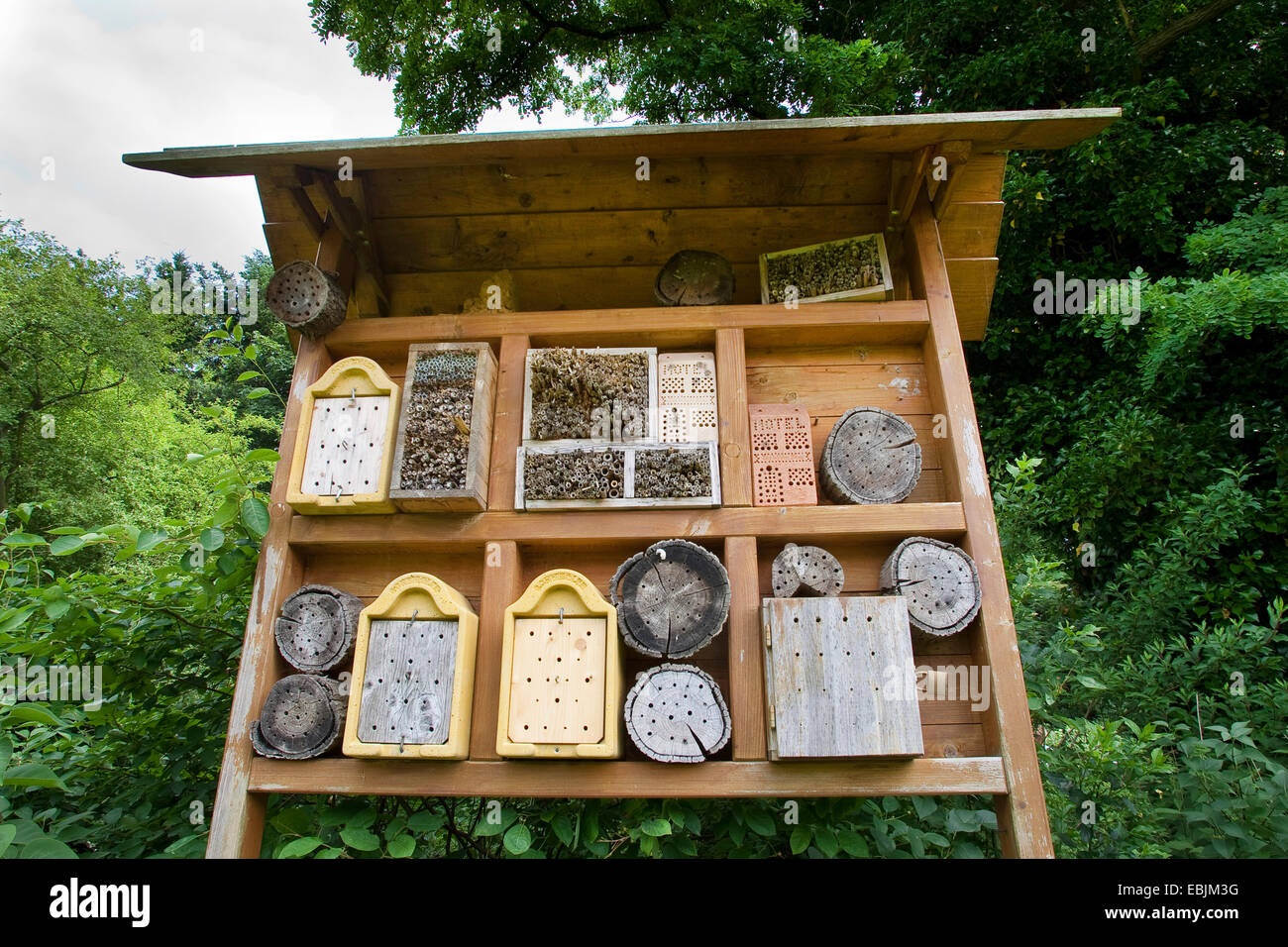 insect hotel, Germany Stock Photo