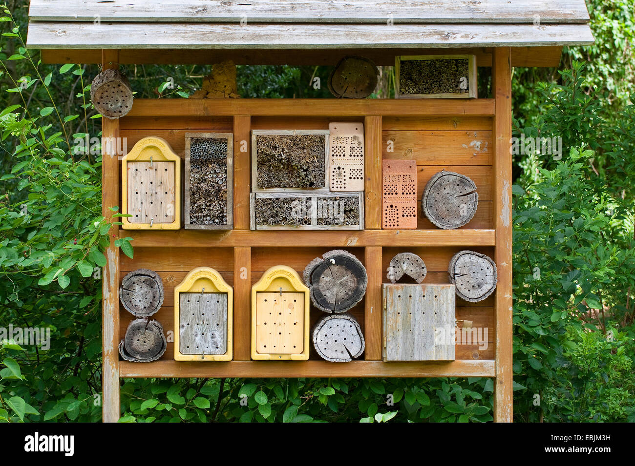 insect hotel, Germany Stock Photo