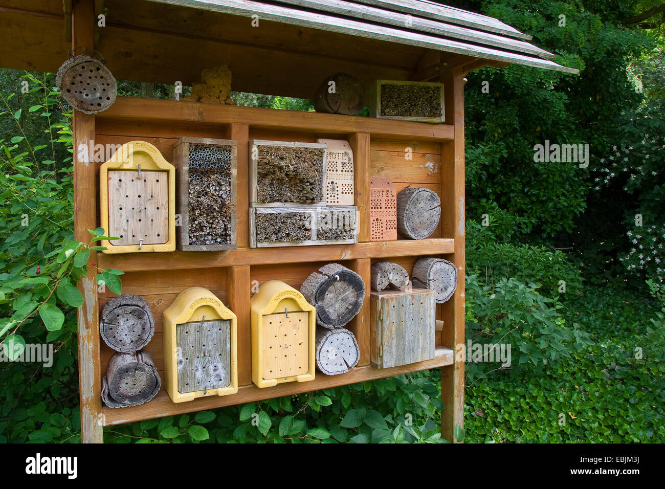 insect hotel, Germany Stock Photo