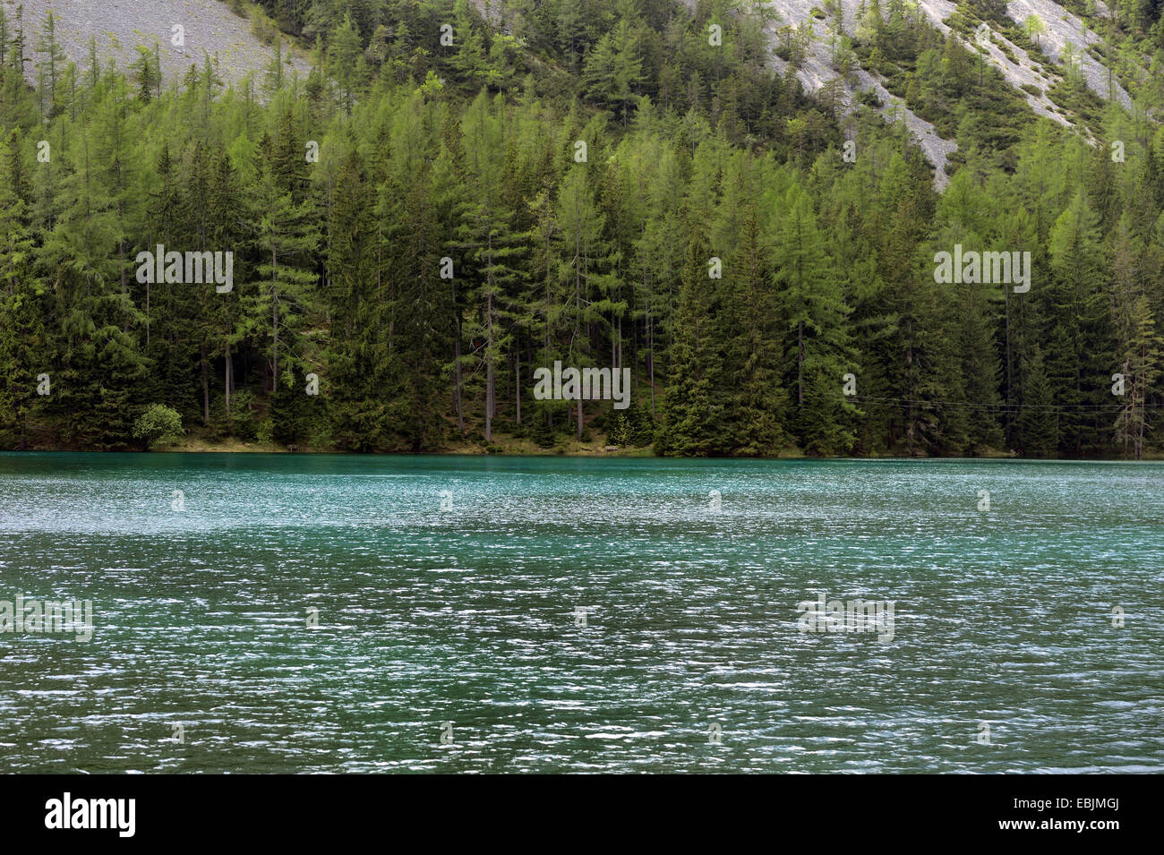 mountain lake in front of looming mountain wall in spring, Austria, Styria, Gruener See Stock Photo