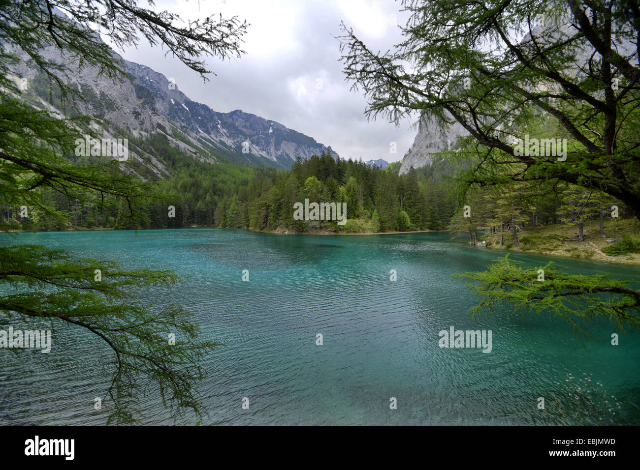 mountain lake among looming mountain ranges in spring, Austria, Styria, Gruener See Stock Photo