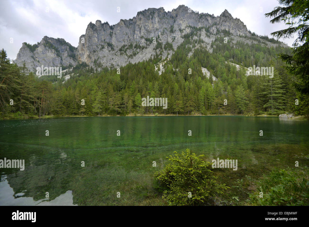 mountain lake in front of looming mountain range in spring, Austria, Styria, Gruener See Stock Photo