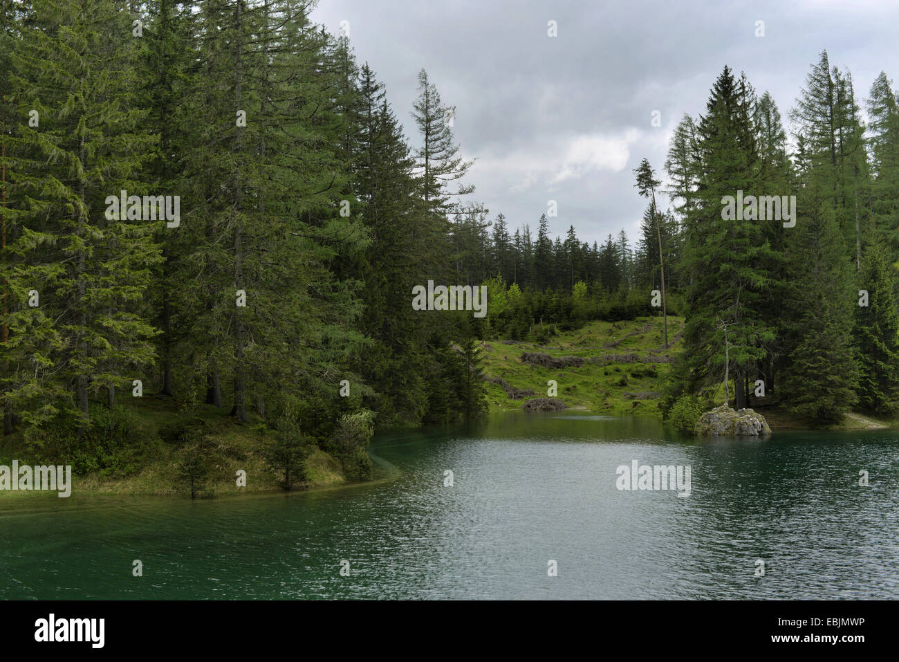 mountain lake with forested shore in spring, Austria, Styria, Gruener See Stock Photo