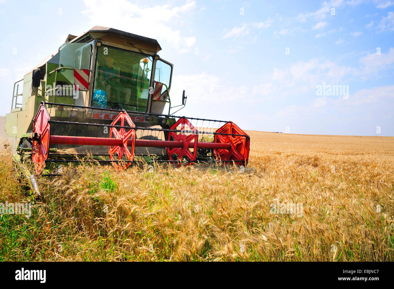 combine harvester in ripe grain field, France Stock Photo