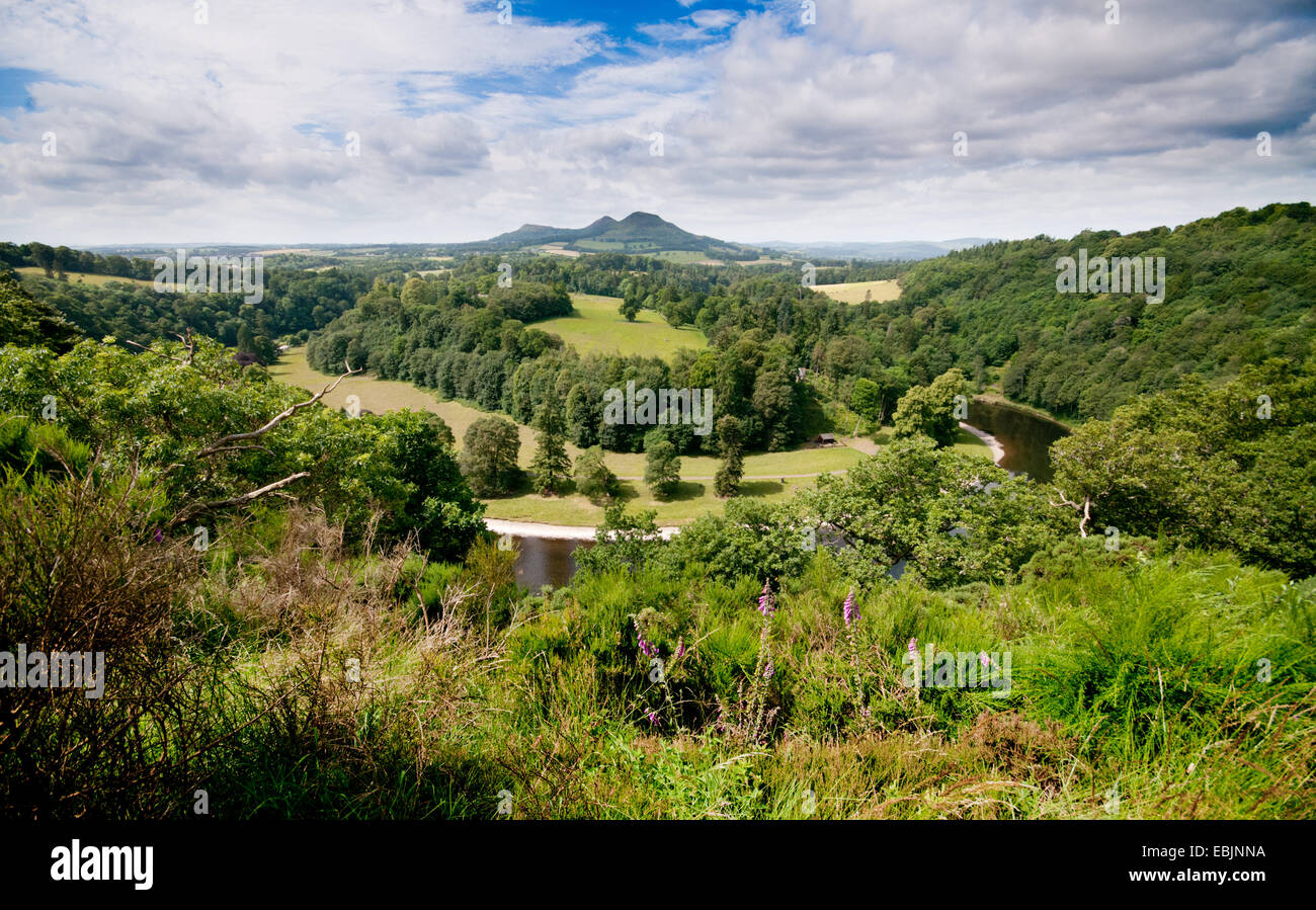 The River Tweed and Eildon Hills at Scotts View Stock Photo - Alamy
